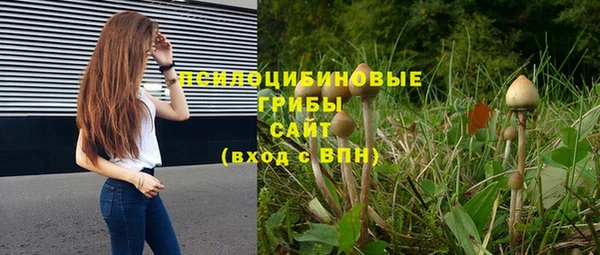 MESCALINE Заволжье