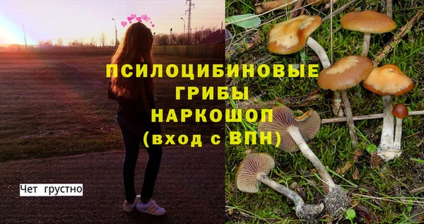 соль курить ск Елизово