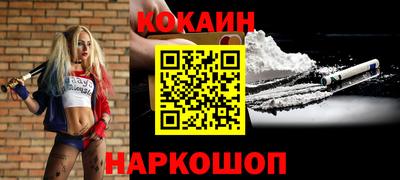 дмт Аргун