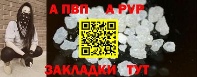 дмт Аргун