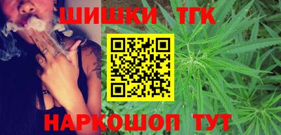 дмт Аргун