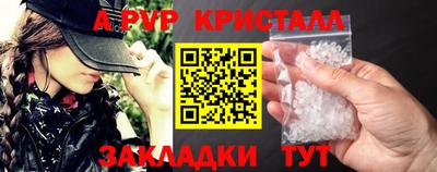 дмт Аргун