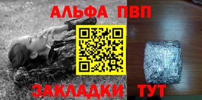 дмт Аргун