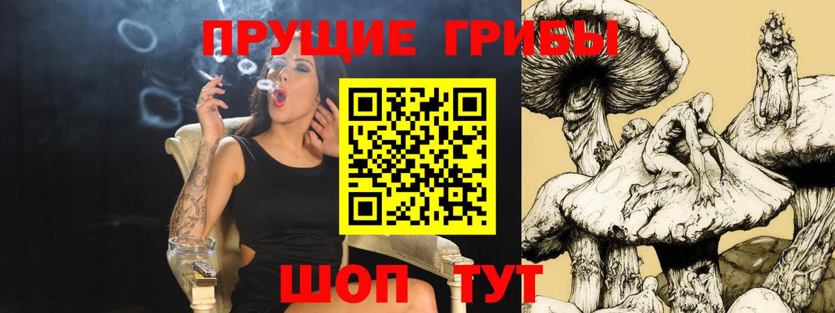Псилоцибиновые грибы GOLDEN TEACHER  Псилоцибиновые грибы MAGIC MUSHROOMS  Вход с VPN  Барнаул 