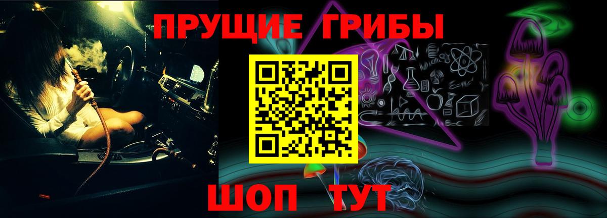 Псилоцибиновые грибы мицелий  Барнаул  купить   Псилоцибиновые грибы Cubensis 