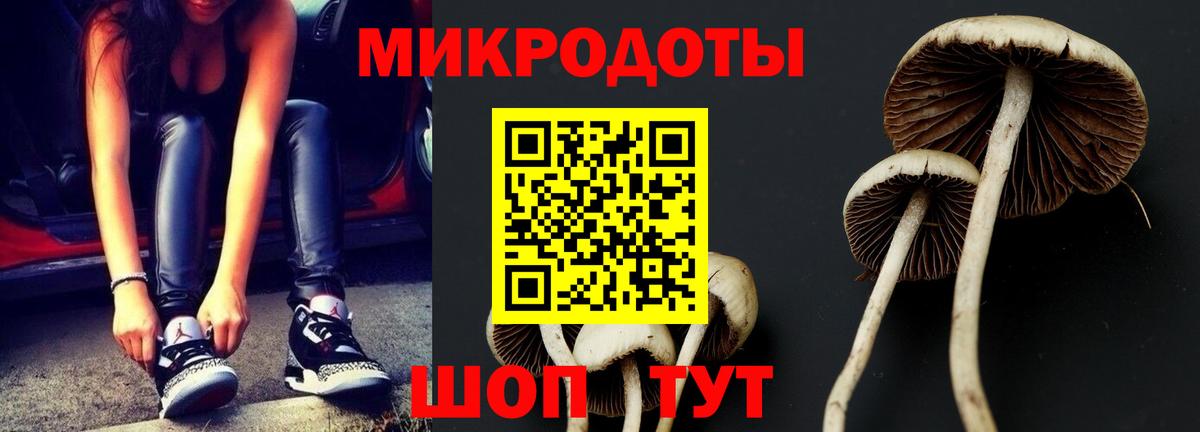 Галлюциногенные грибы Psilocybine cubensis Барнаул
