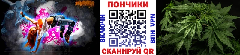 где продают наркотики  Барнаул  Бошки Шишки OG Kush 